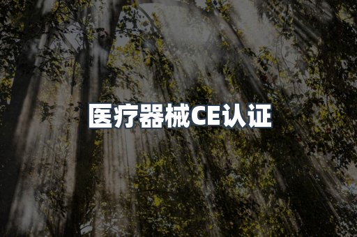 口罩防护类系列CE认证